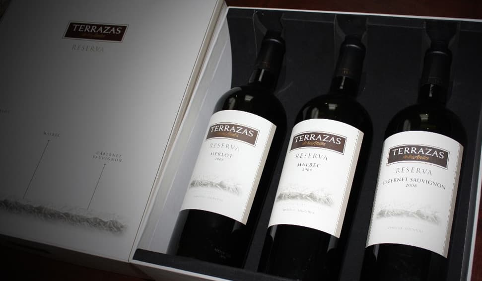 Terrazas de los Andes