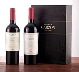 Presentación Vinos Tannat de Bodegas Garzón