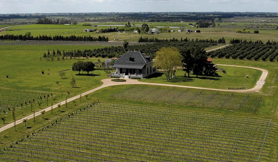 Familia Deicas, Vinos Extraordinarios