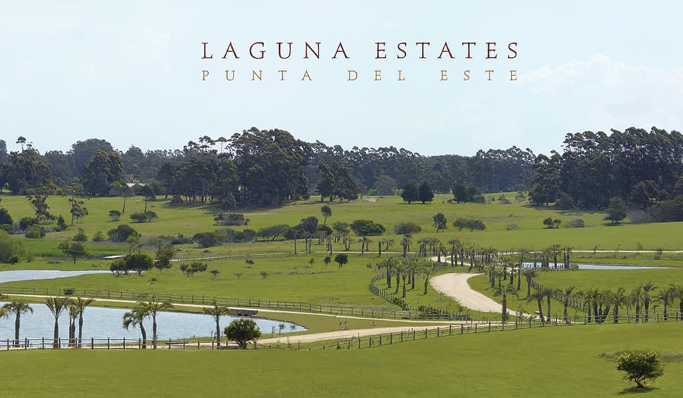 Laguna Estates