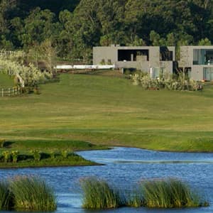 Hermosos paisajes de laguna y bosques
