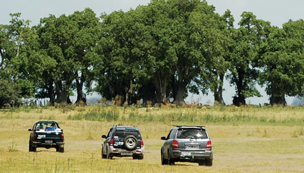 Travesía por bosques de ombúes y sierras