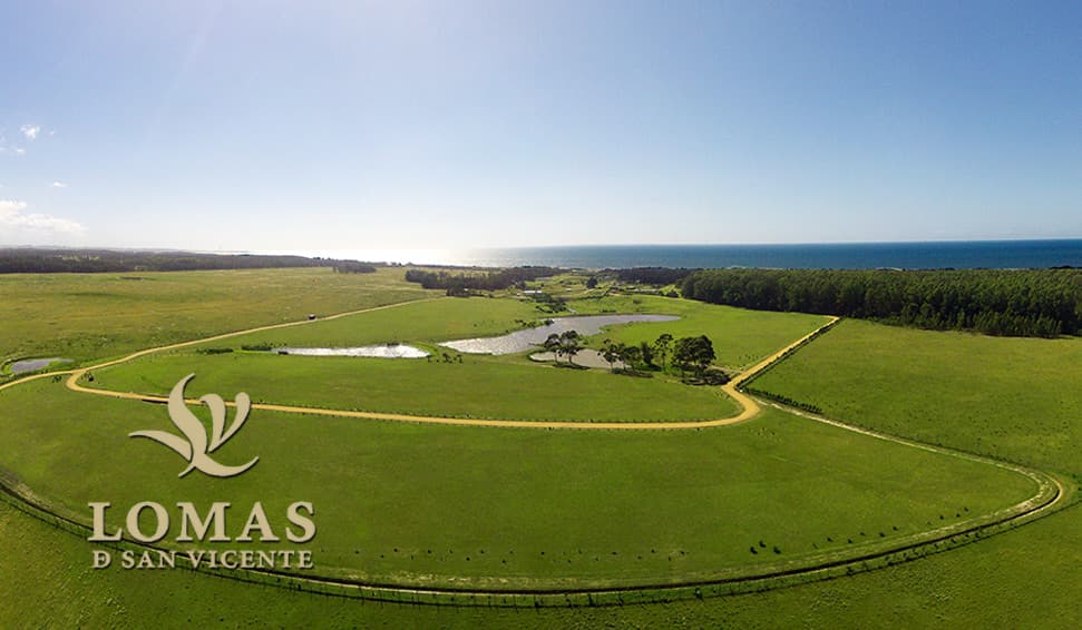 Lomas de San Vicente
