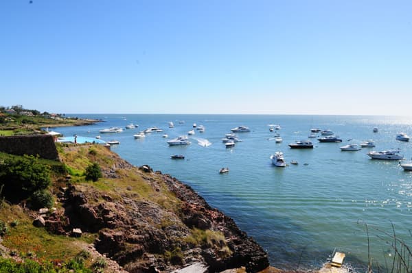 Las formaciones rocosas presentan distinta coloración según los minerales que las componen. En Punta Colorada, las rocas ganan un tono rojizo debido a la riolita. En Punta Ballena, son oscuras por la cuarzita y la glauconita