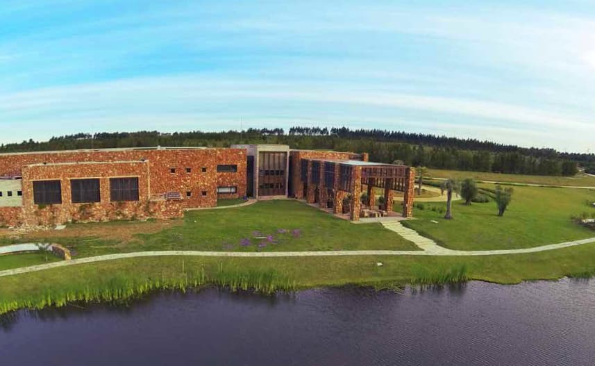 Agroland. Olivas y vinos, oro en botellas