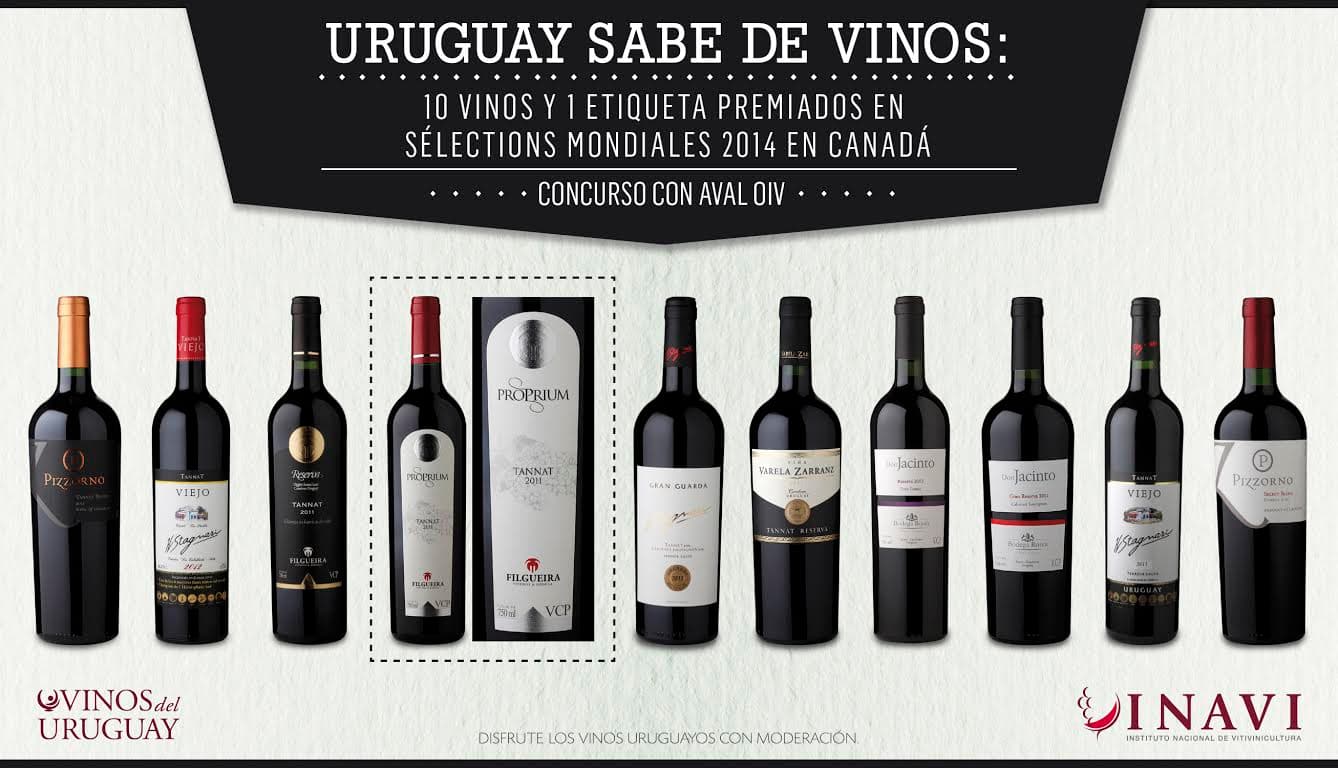 Nuestros vinos siguen siendo premiados