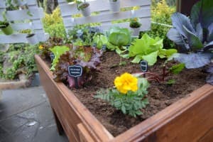 Mucho verde en Floreal Market