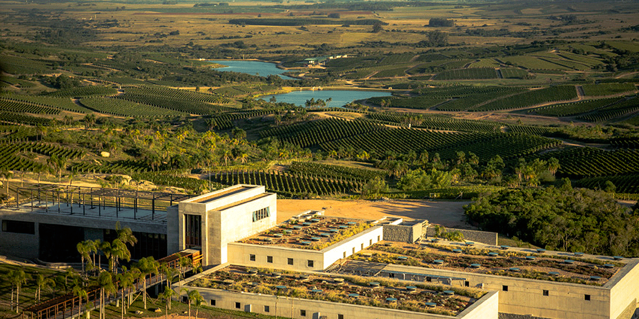 Día del Enoturismo en Punta del Este