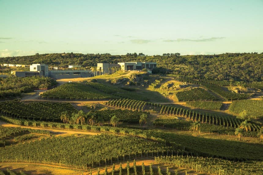 Experiencia Garzón, uno de los tantos atractivos de la costa esteña...