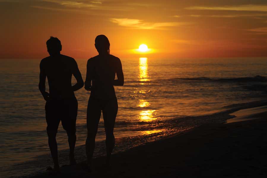 El Arte  de modelar tejidos.