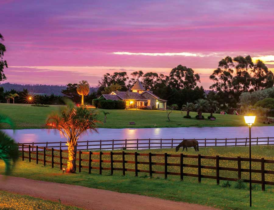 Haras Premium y alojamiento de lujo: la naturaleza a caballo