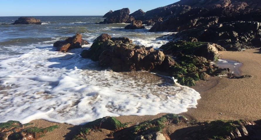 Beneficios en vacaciones de invierno en Punta del Este