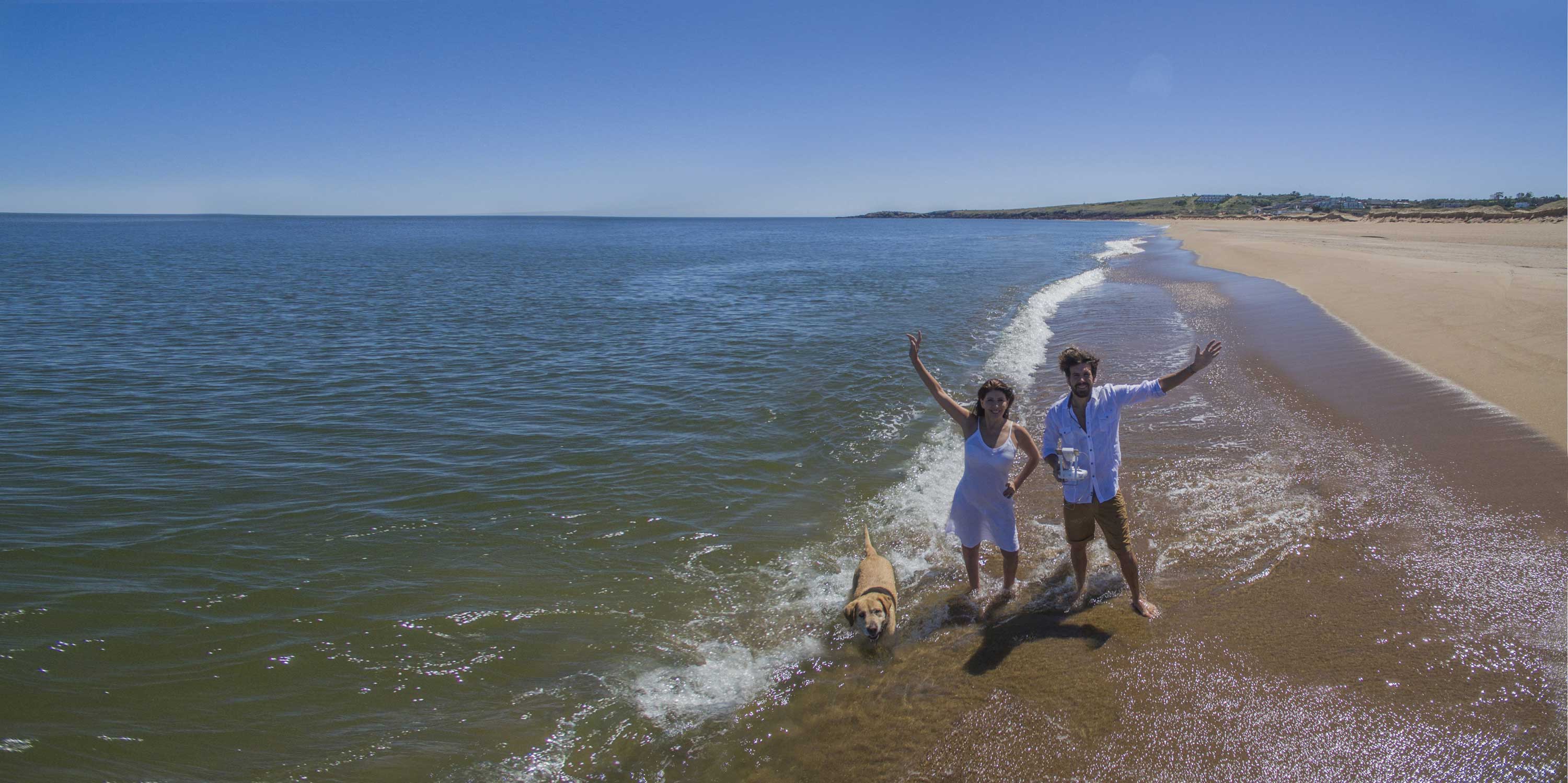 Un editorial,  que nos refleja