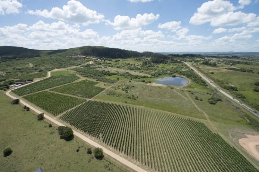Abierto todo el año al mediodía y de noche Villa Edén ofrece paseos y visitas guiadas, alojamiento en cabañas con vistas al campo y a la bella extensión de viñedos. 
