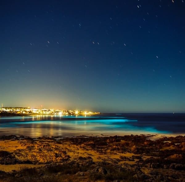 foto-noctilucas-agregar