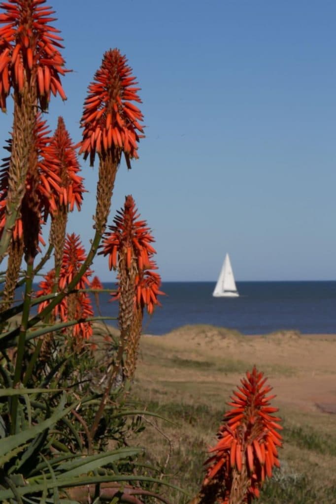 Foto: Pablo Kreimbuhl.