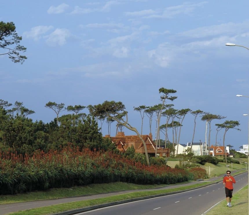 Foto: Pablo Kreimbuhl.