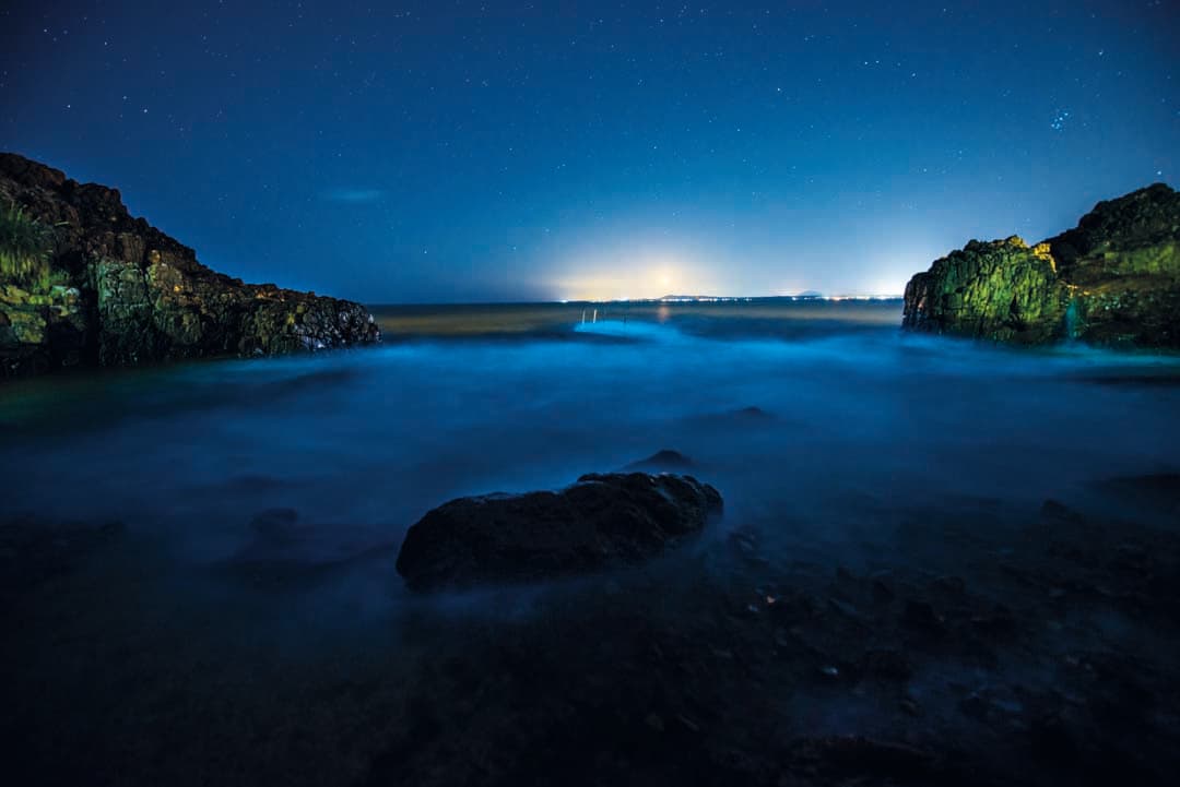 La magia de las Noctilucas