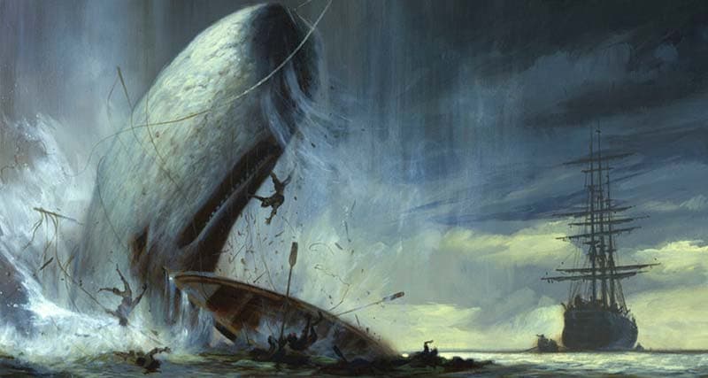 Evidencias de cultura material del viaje que habría inspirado Moby-Dick