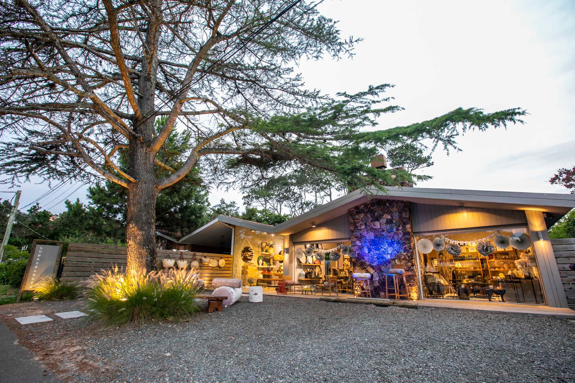 Pasión por el diseño – Lunadeleste