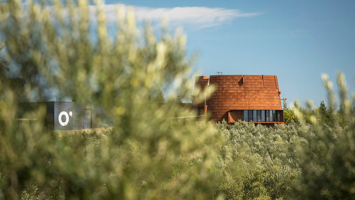 Región Este, el camino del olivo y la vid