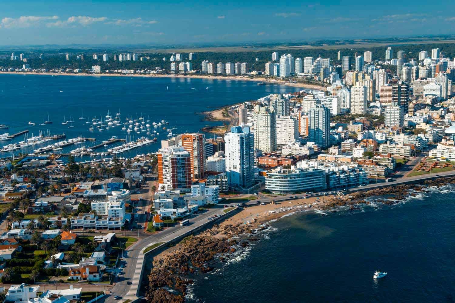 Verano 2020-2021 – La guía de Facundo Manes contra el COVID-19