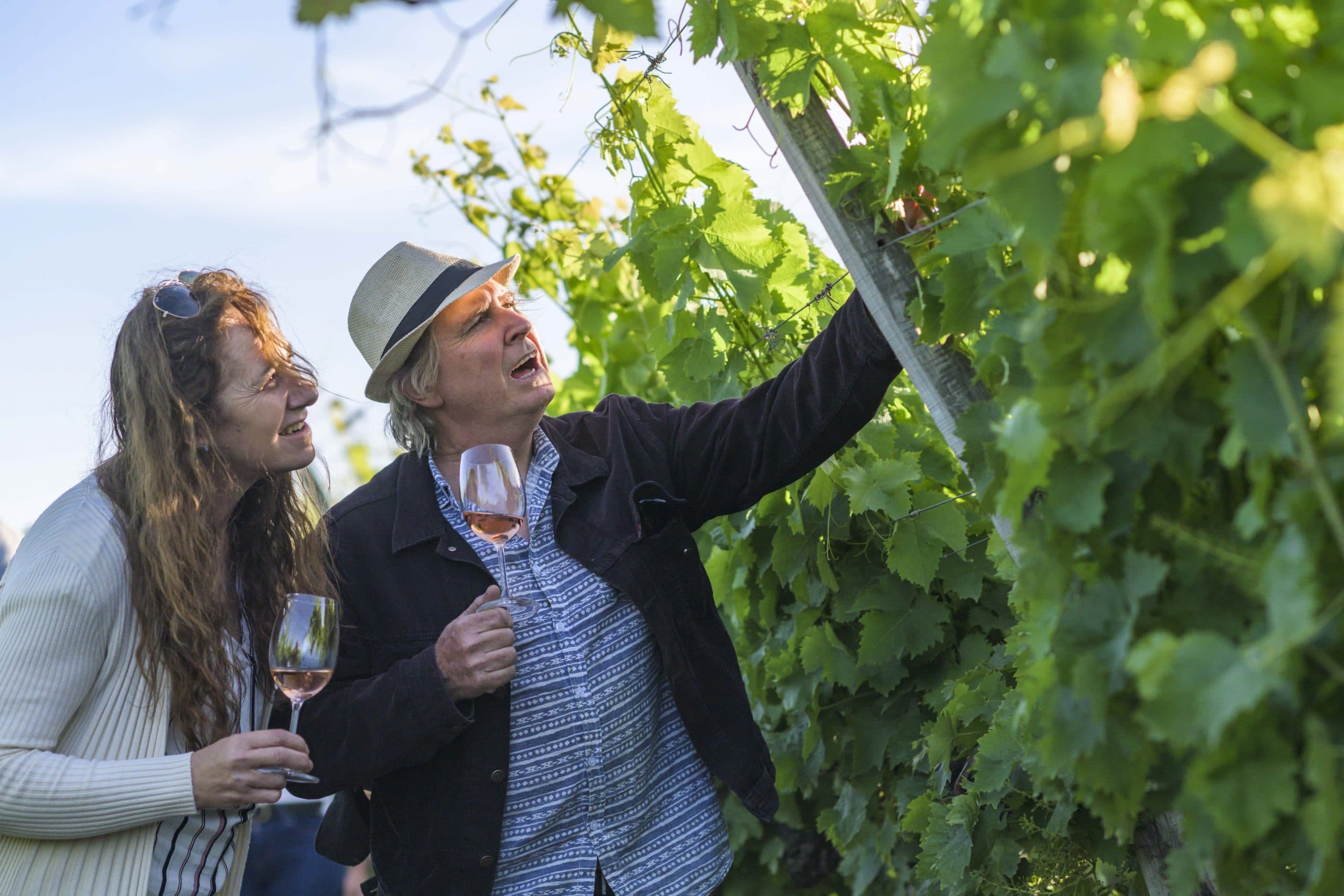 Intendencia de Canelones: un destino para vivir de enero a Diciembre