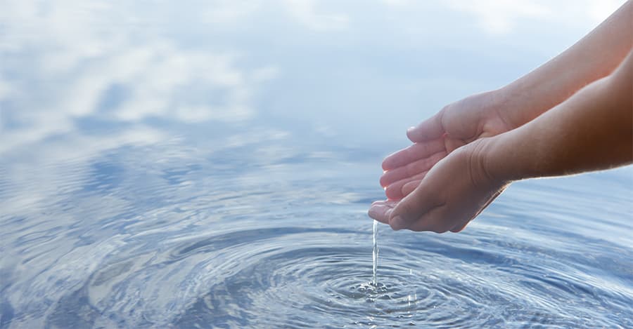 El Agua: Origen y Vida