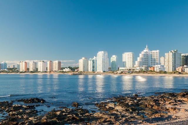 Xenia: servicios integrados de valor inmobiliario