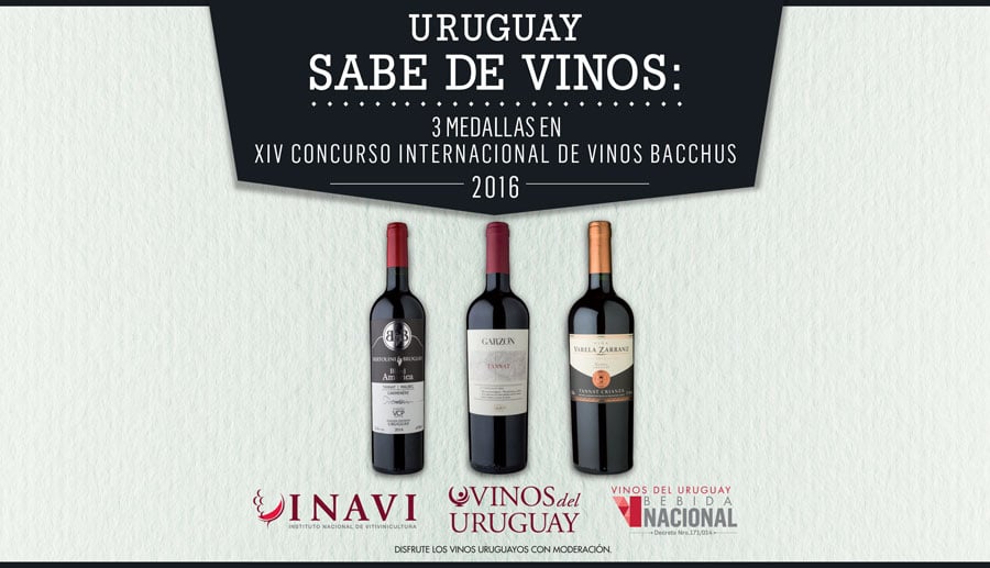Inavi-sabe-de-vinos