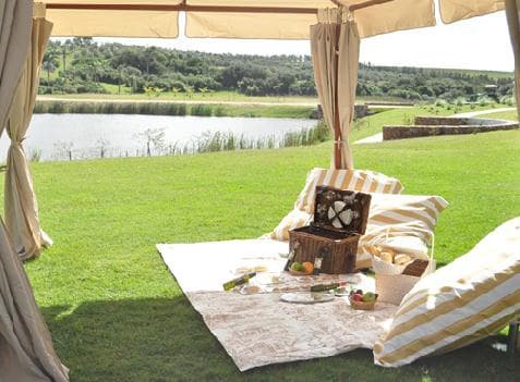 picnic
