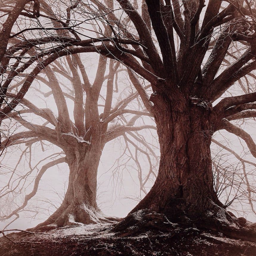 ippawards-iphone-ipad-photography-awards-2014-1f