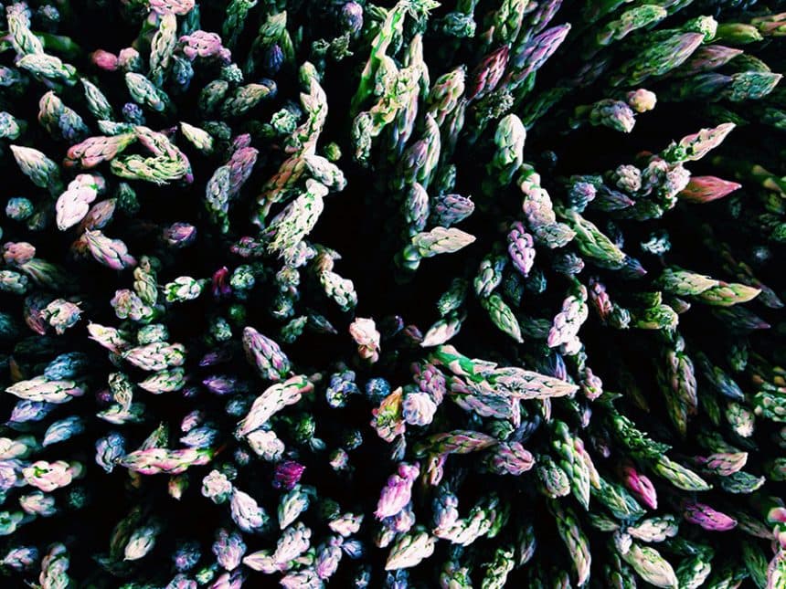 ippawards-iphone-ipad-photography-awards-2014-1o