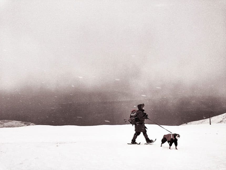 ippawards-iphone-ipad-photography-awards-2014-1v