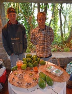 Los creadores de Paltas del Este