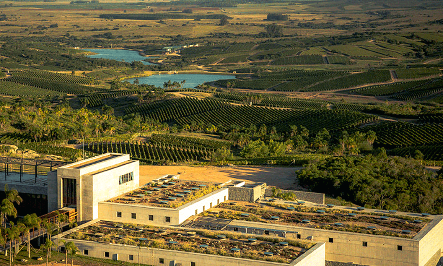 Bodega Garzón, de las mejores del mundo por The New York Times
