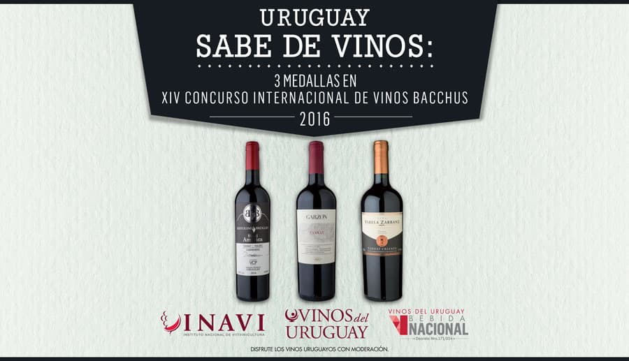 URUGUAY SABE DE VINOS: Tres vinos Tannat uruguayos premiados en Bacchus 2016