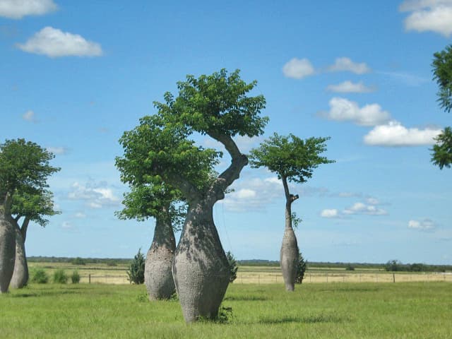 Estancia el Malagueño