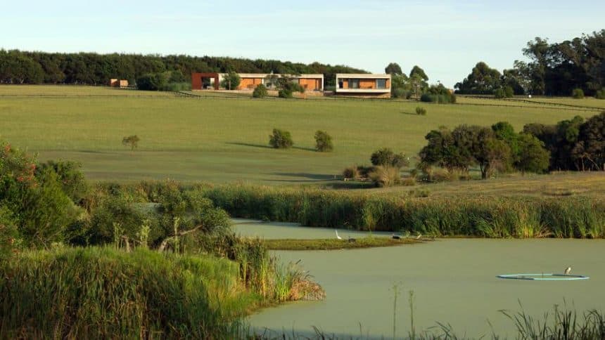 Foto de Artepea, publicada en el NYTimes