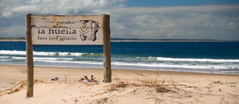 Distinguido parador en plena playa de José Ignacio. Un placer para paladares exigentes...