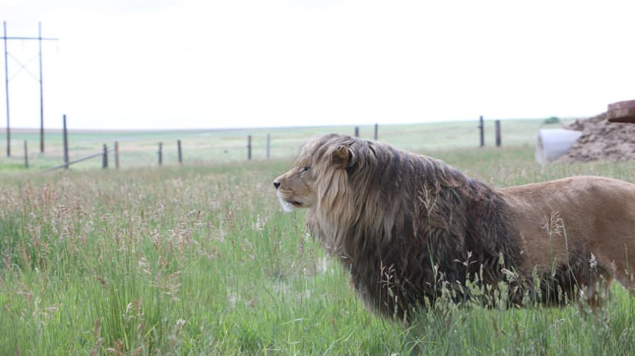 “Tito” será trasladado a una reserva de EEUU