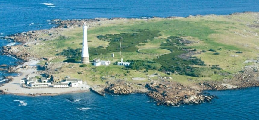 Con una población estimada de 200 mil ejemplares, la Isla de Lobos es la reserva de lobos marinos más importante del Hemisferio Sur.