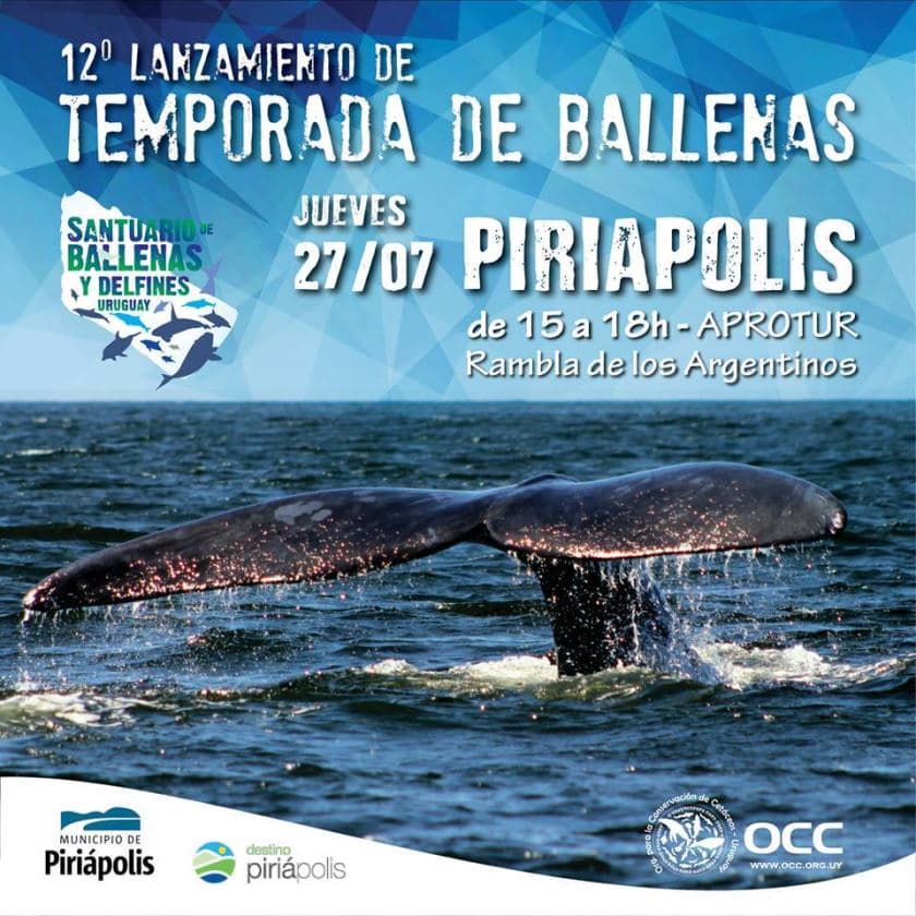 20108159_1454977351215110_6779467684463362080_n