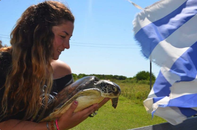 Especies exóticas en el mar de Punta del Este