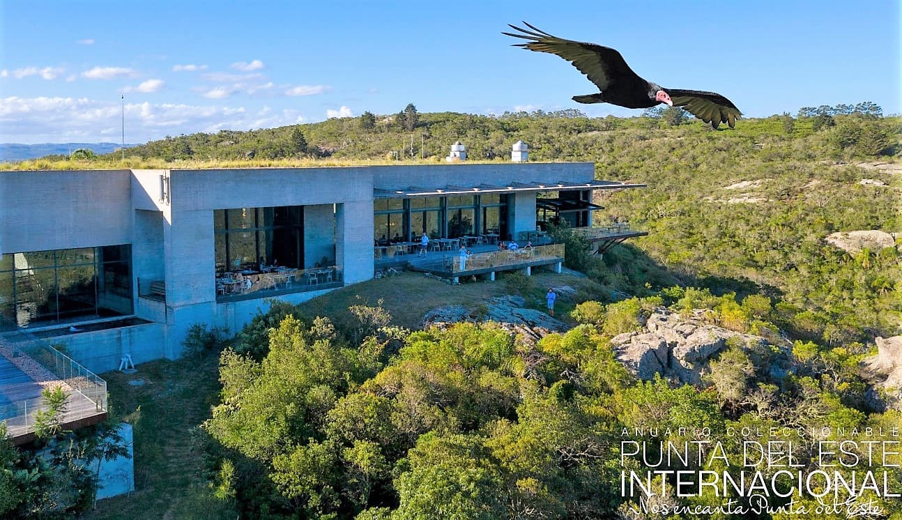 Restaurante Garzón, el arte de lo simple