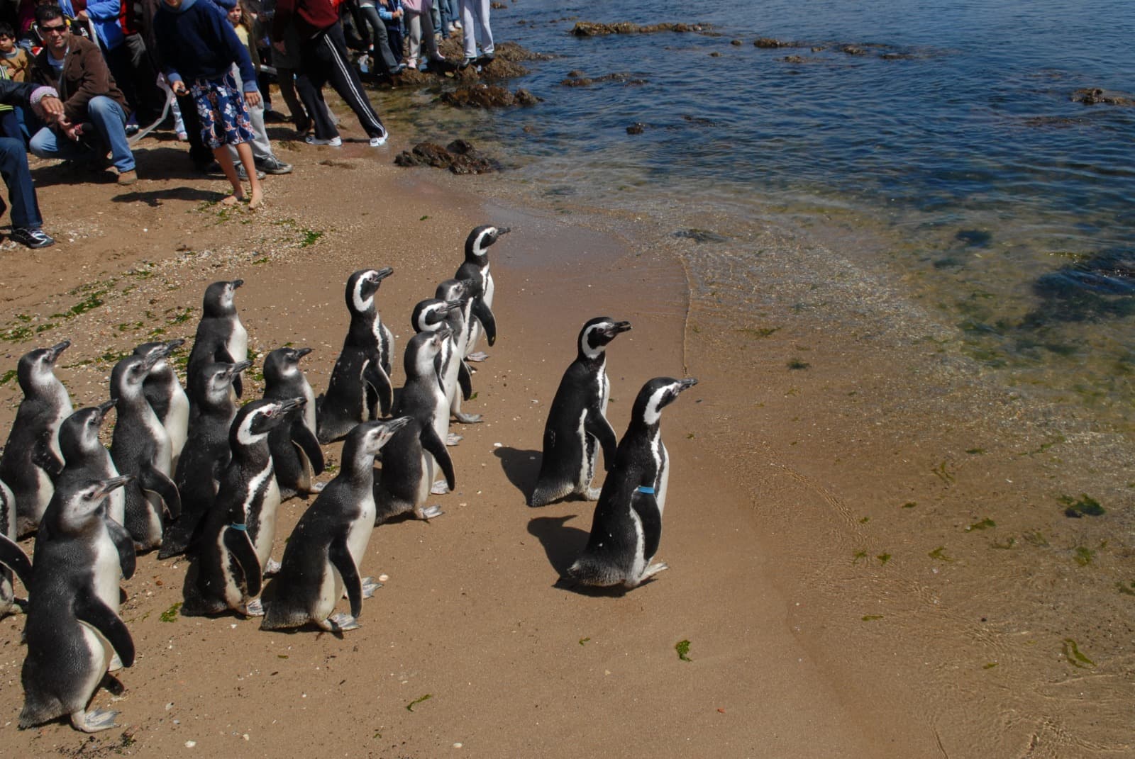 Socobioma: un lugar para nuestros animales silvestres