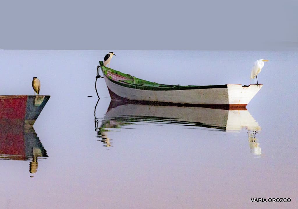 Fotografía de María Orozco: La mirada cómplice