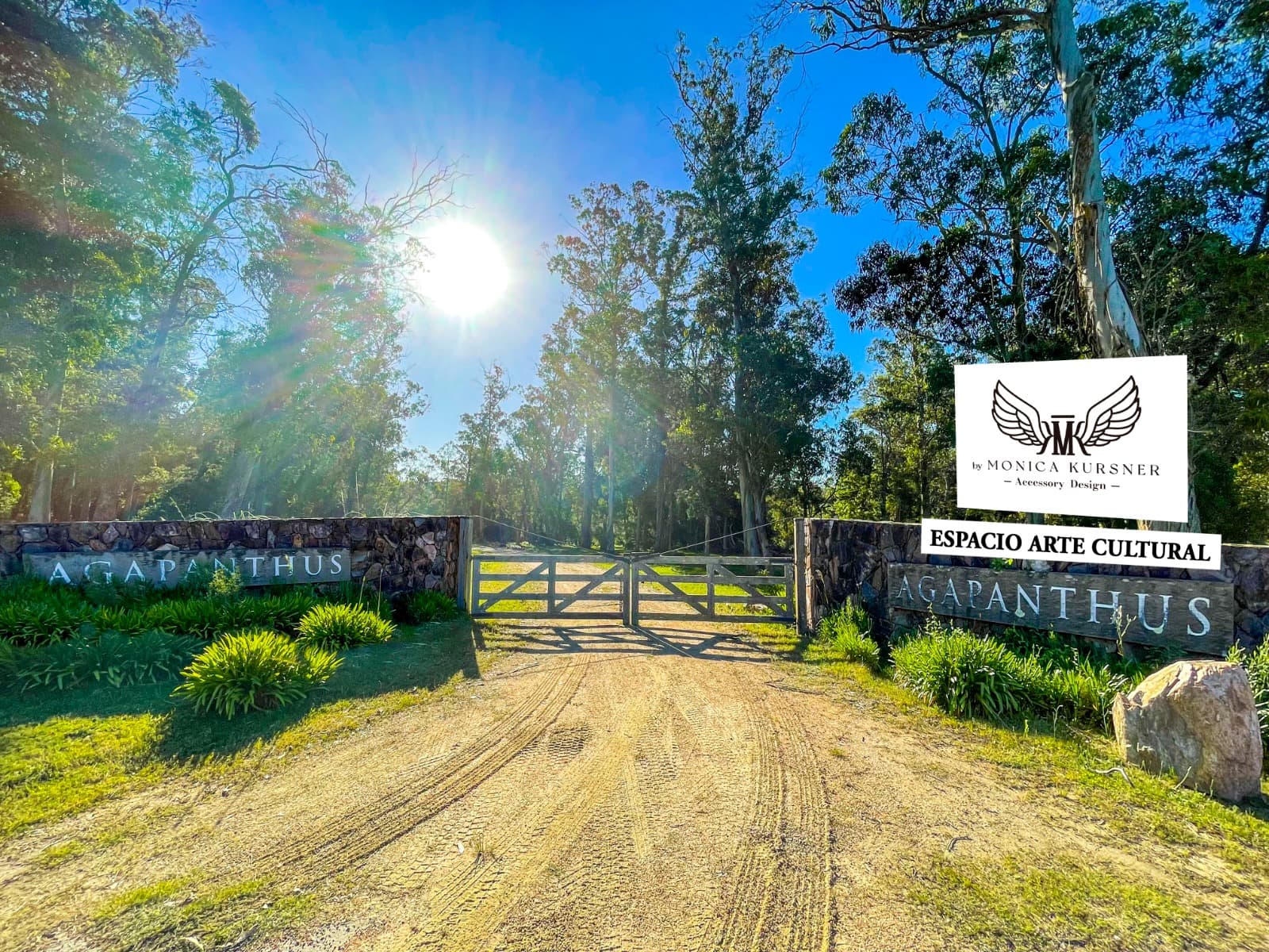 Agapanthus: un nuevo espacio cultural