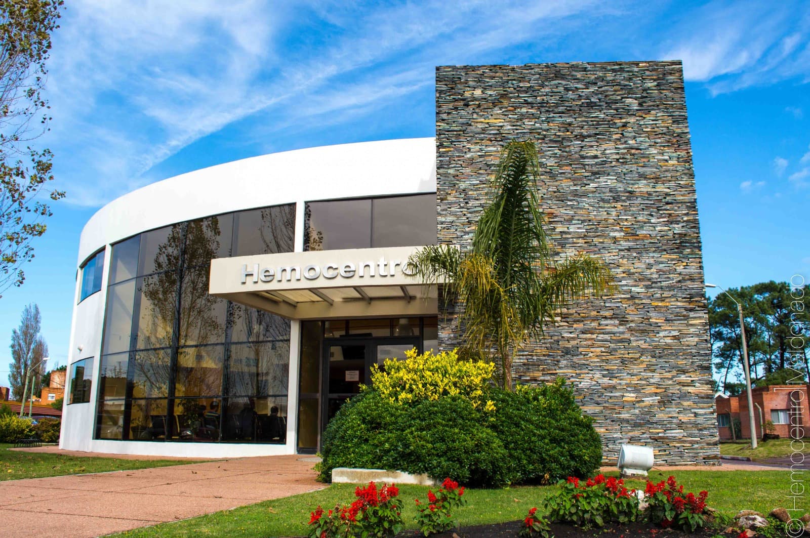 Hemocentro Maldonado: honrar la vida