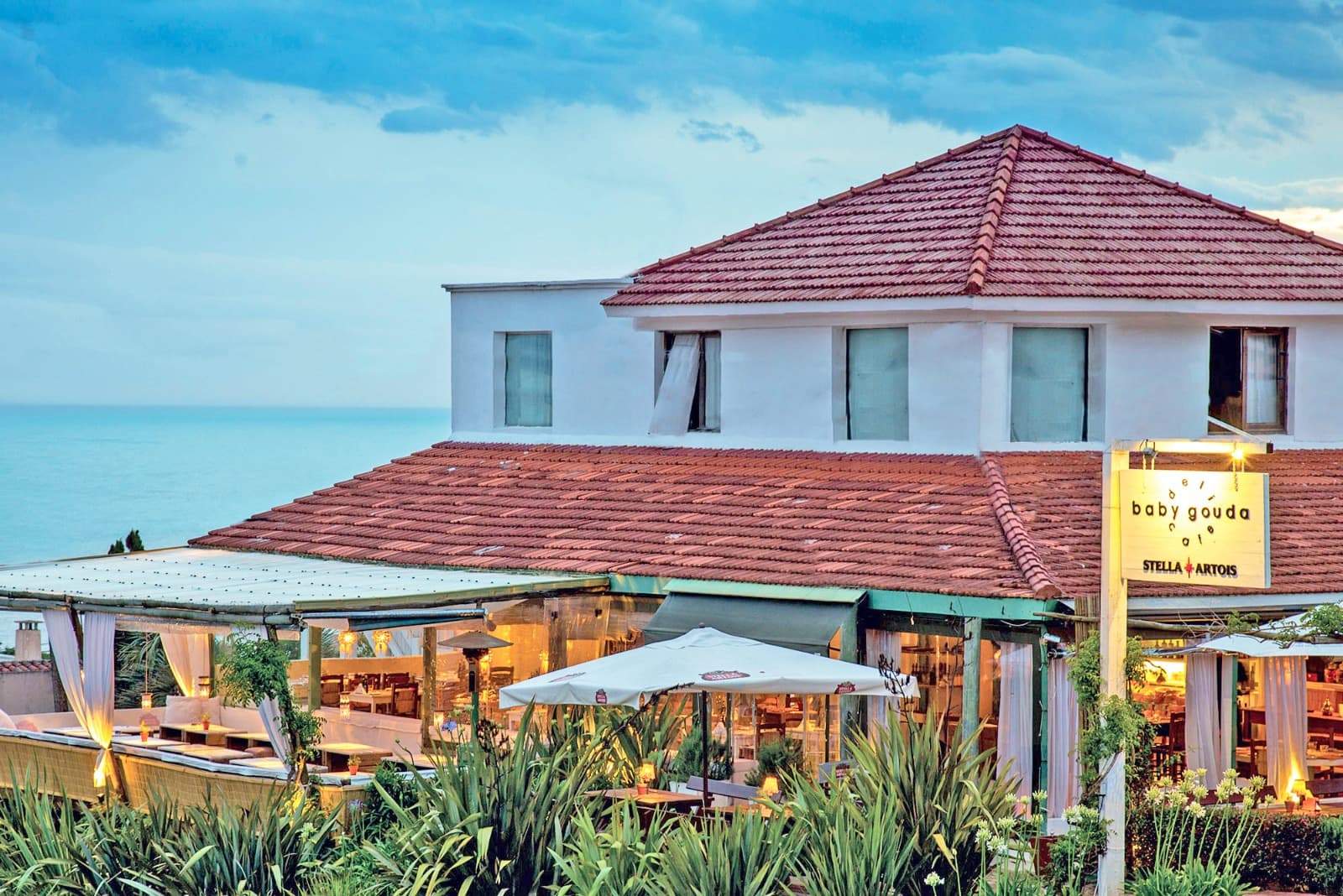 Baby Gouda – cocina Internacional